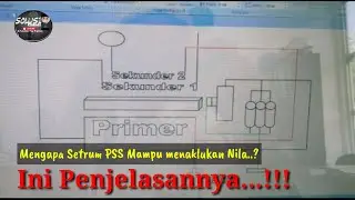 ALASAN SETRUM PSS MAMPU MENAKLUKAN IKAN NILA