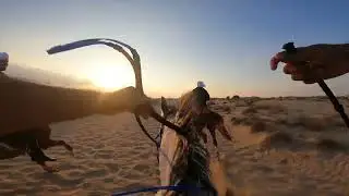 Desert Hack with the boys in Dubai Desert