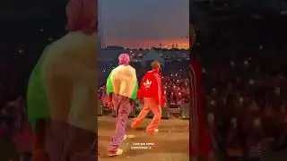 Rema brings out Wizkid on his set at Oh My! Festival in Rotterdam 🦇🦅