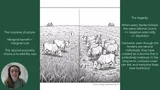 Common Resources and the Tragedy of the Commons
