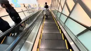 ららぽーと沼津　エスカレーター中央　下り