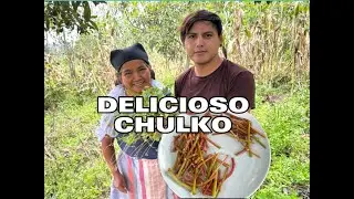 RICO CHULKO DEL TERRENO BYRON GN