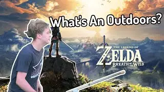 pov: zelda player goes outside