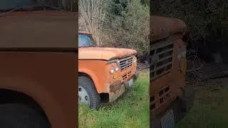Dodge D400 1964 года! Бывший автомобиль из штата Вашингтон? #Dodge #mopar #sweptline #washington
