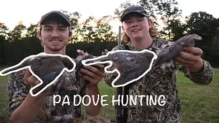 OPENING DAY DOVE HUNTING PA (Three Hunts)
