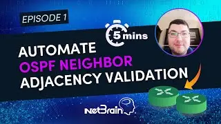 Automate the validation of OSPF neighbor states | 5-MINUTE Automation Challenge | Episode 1