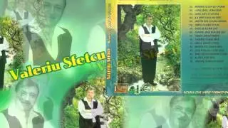 Valeriu Sfetcu-As face inimii bine (Official Audio) NOU