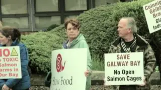 Salmon Farm Protest Galway