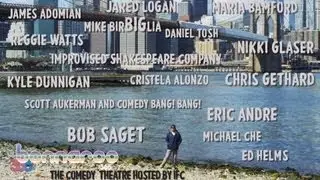 Bonnaroo's Comedy Lineup Announcement 2013 From David Cross | Bonnaroo365