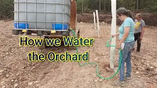 How we Water the Orchard