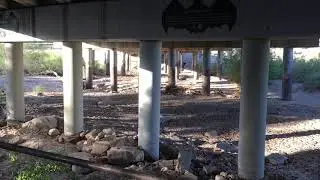 Bat crap