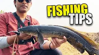 Thand Me Frog Lure Attack 😱 | 3/2 Retrieve Snakehead Fishing Tips 🎣