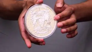 Pegasus Silver Medal by Heidi Wastweet