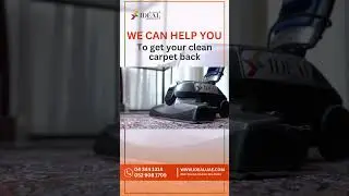 Your Carpet Holds More Bacteria Than a Toilet.!&ldquo; #shorts