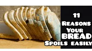 11 REASONS BREADS GET SPOILT EASILY | BREAD BAKING MISTAKES #mfalh #thvc #breadbakingmistakes