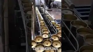 How is canned pineapple produced in factory？let's see industrial pineapple processing line working
