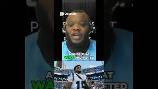 Panthers' Fight Inspires Hope for Future Super Bowl Wins