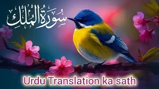 Surah Mulk Tarjuma Ke Sath Tilawat  [Awais Quran official](سورة الملك)💞 #foryou #viralvideo