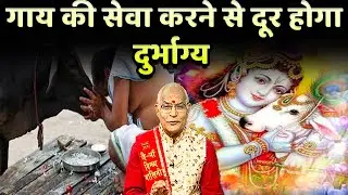 KaalChakra:- गाय की सेवा करने से दूर होगा दुर्भाग्य | Pandit Suresh Pandey | Darshan24