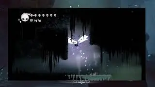 #28 Hollow Knight : Aiguillon au max, Ruche et Chevalier de la Ruche