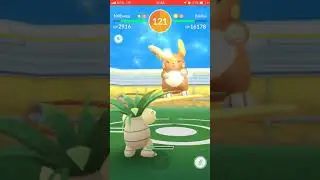 Pokedraft:  Alolan Raichu Solo