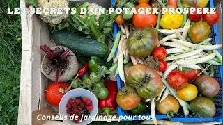 Les Secrets d'un Potager prospère