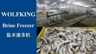 Brine shower freezer for shrimp, fish, quick freezing IQF or semi-IQF