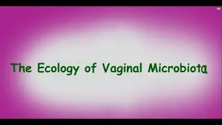Human Microbiome: The Vaginal Microbiota