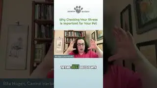 Why Checking Our Stress is Important for Your Pet - with Canine Herbalist Rita Hogan  #calmdogtips