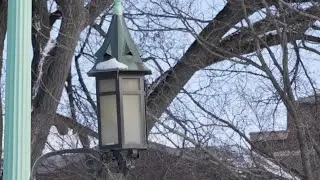 Students react after MSU keeps classes in session despite frigid temperatures