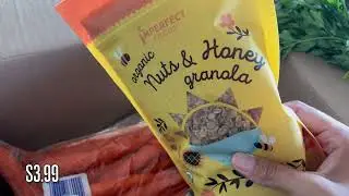 Imperfect Foods Grocery Haul & Picnic (using SabotHeat Portable Oven!)