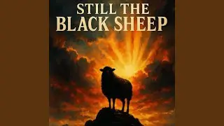 Still The Black Sheep