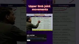 Upper Limb Joint Movements | Anatomy of Upper Limb Joints