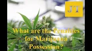 What Are The Penalties For Marijuana Possession? | John W. Tumelty Law Offices