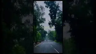 For a minute there, I lost myself 🎧🍃🩵 #natureshorts #trendingshorts #vizagdiaries