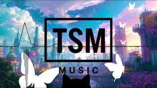 Brighter Path　　　TSM music | DancePOP | EDM | No Copyright Music |Workout Music