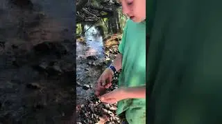Water snake but my dad doesn&rsquo;t like me catching them.