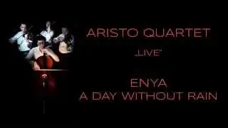 Enya - A Day Without Rain (violin instrumental cover) - string quartet