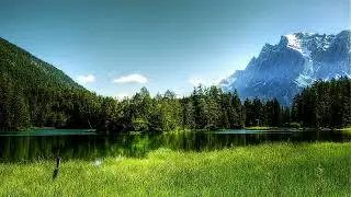 The White Birch - Moorland Songs, Scandinavian Music, Sad Violin Music, Peaceful Instrumental Music