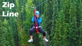 Ziplining in Alaska - Denali Park Zipline