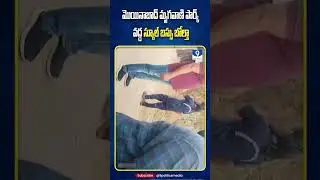 Hyderabad School Bus Accident Near Moinabad | Chilkur Road Bus Overturns | Students Injured |