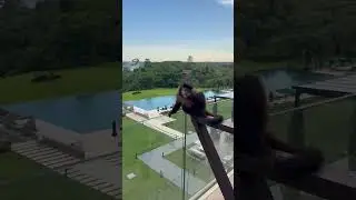 Monkey playing on balcony in Iguaz&uacute; Park, Misiones, Argentina