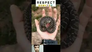 Respect🤯🔥|#shorts