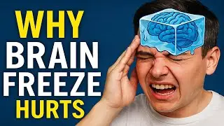 Why Do We Get Brain Freeze? | The Strange Science of Ice Cream Headaches