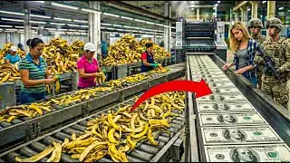 Inside the Factory: How Banana Peels Are Turned Into Real Money | The Shocking Printing Process