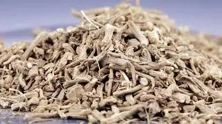 Episode 20   Blue Vervain: A Little Known Herb Making a Comeback