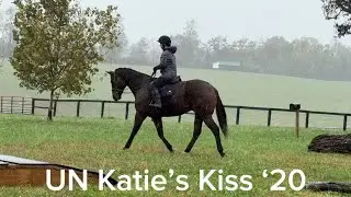 UN KATIE&rsquo;S KISS (Trail), Adoptable Thoroughbred Gelding, New Vocations