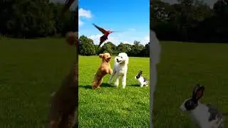 #happynewyear #like #subscribe #parrot 🦜 #rabbit #enjoyment #animals #animalshorts #cartoon  #art