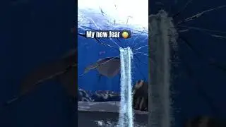 SHARK ATTACK! Watch How This Shark Breaks The Aquarium Glass 😳 #shorts #shark #fish #waterslide