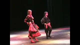 венгерка фибры